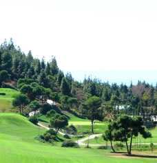 Rollong hills and pine forests at Costa del Sol golf course El Chaparral