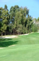 The approach to the 11th at Los Flamingos