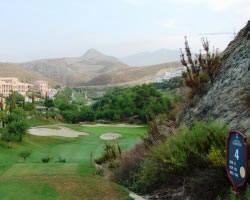 Elegant par-3 4th hole at Los Flamingos